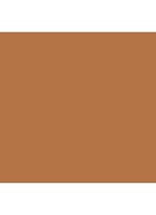 Studio Radiance Face and Body Radiant Sheer Foundation - C5