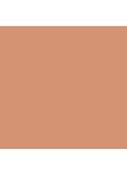 Studio Radiance Face and Body Radiant Sheer Foundation - W2