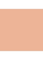 Studio Waterweight SPF 30 Foundation - NW18