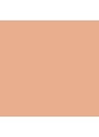 Studio Waterweight SPF 30 Foundation - NW25