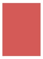 Explicit Lipstick - TEMPTATION - 827