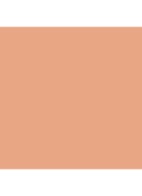 Natural Matte Longwear Foundation - vloeibare foundation -  LANAI
