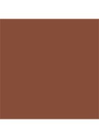  Nouveauté  The Multiple Sculpting Stick - bronzer stick - PALM COVE