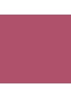 Powermatte Lip Pigment – liquid lipstick - Save the Queen