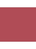 Powermatte Lip Pigment – liquid lipstick - American Woman