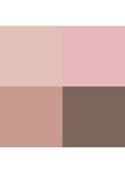 Quad Eyeshadow - Limited Edition oogschaduwpalette  - Cool pink