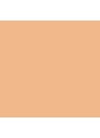 Soft Matte Complete Concealer - Macadamia