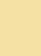 Lip Tone - lipgloss - GoldGleam