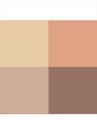 Eye Color Quad - oogschaduw palette - Golden Mink