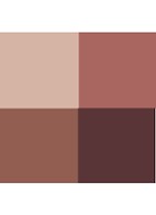 Eye Color Quad - oogschaduw palette - 30 Insolent Rose