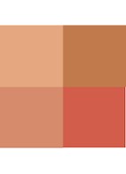 Eye Color Quad - oogschaduw palette - 41 Peach Dawn