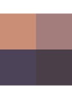 Runway Eye Color Quad Crème -  oogschaduw palette - 00 Iconic Smoke