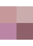 Runway Eye Color Quad Crème -  oogschaduw palette - 38 Metallic Mauve