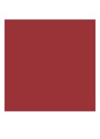 Runway Lip Color - lipliner - 104 PRIVATE CLIENT