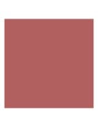 Runway Lip Color - lipliner - 101 CLOSE UP