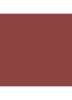 Runway Lip Stylo Matte - lipstick - 100 Rosy Brown