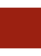 Runway Lip Stylo Matte - lipstick - 16 Carlet Rouge