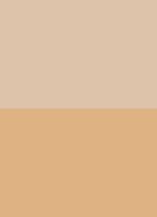 Shade and Illuminate Highlighting Duo - highlighter palette - NUDELIGHT