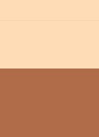 Shade and Illuminate Highlighting Duo - highlighter palette - TANLIGHT