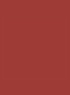 Slim Lip Color Shine - lipstick - 155 Atelier Red