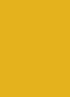 EyeWear - oogschaduwstick - Sunflower