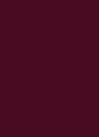 Future Lash Mascara - Bordeaux