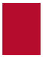 Rouge Pur Couture Lipstick  - RM