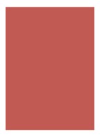 Rouge Pur Couture Lipstick  - N12