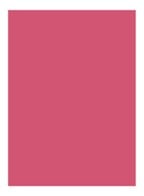 Rouge Pur Couture Lipstick - PM