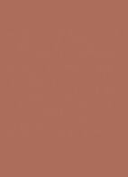 The Inks Vinyl Cream High Shine Lip Stain - 614 Brown Ignition